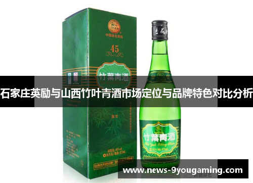 石家庄英励与山西竹叶青酒市场定位与品牌特色对比分析