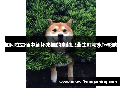 如何在哀悼中缅怀泰迪的卓越职业生涯与永恒影响
