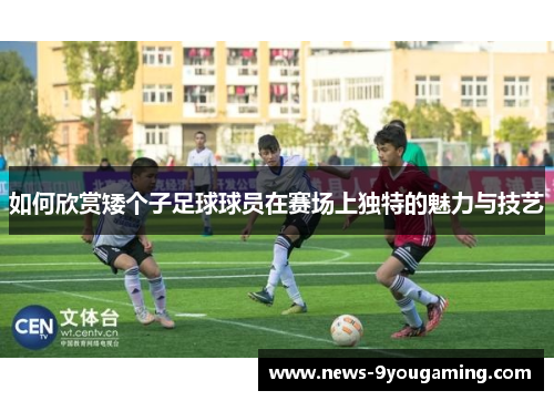 如何欣赏矮个子足球球员在赛场上独特的魅力与技艺