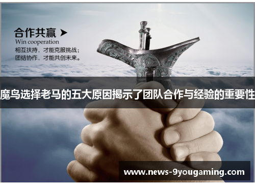 魔鸟选择老马的五大原因揭示了团队合作与经验的重要性