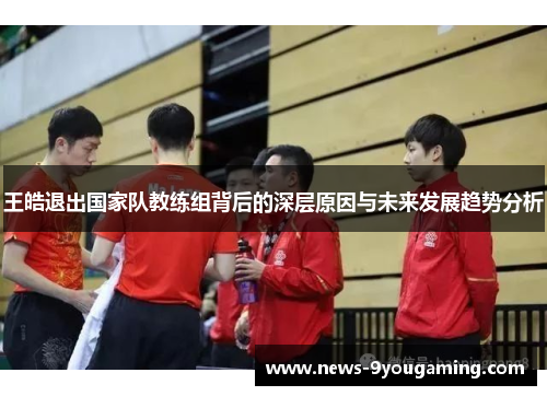 王皓退出国家队教练组背后的深层原因与未来发展趋势分析