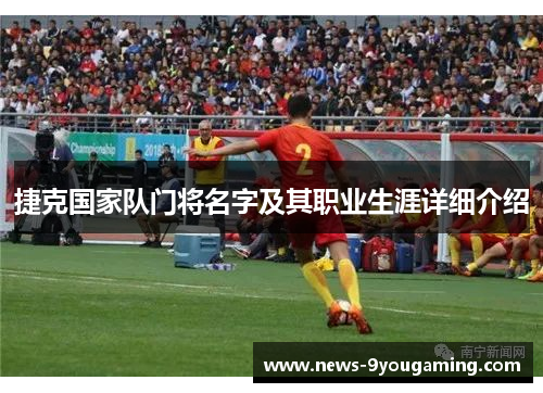 捷克国家队门将名字及其职业生涯详细介绍
